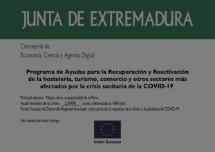 Ayuda Junta Extremadura